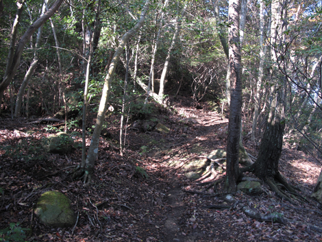 20131116hike (33)